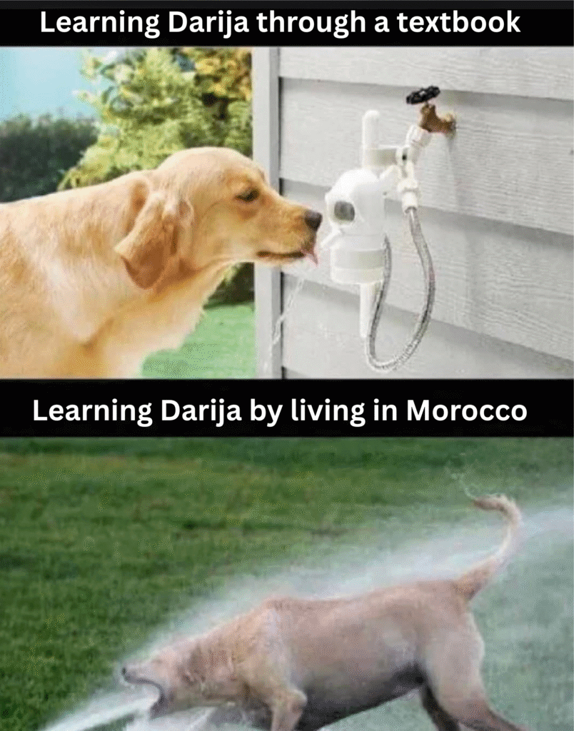 How long does it take to learn Moroccan Arabic meme 5