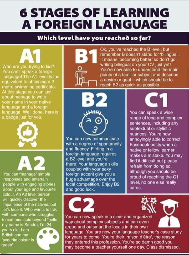 learn Moroccan Arabic A1 to C2 infographic timeline