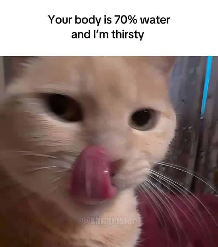 How do Moroccan men flirt?